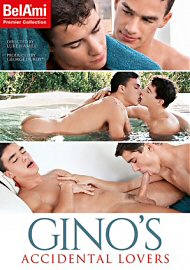 Ginos Accidental Lovers (2017) (152950.0)