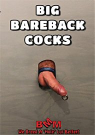 Big Bareback Cocks (2016) (196861.0)